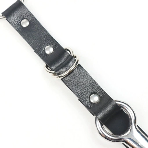 Kinky EverydayUse and 5853 Leash Hook with Anal Collar 1221